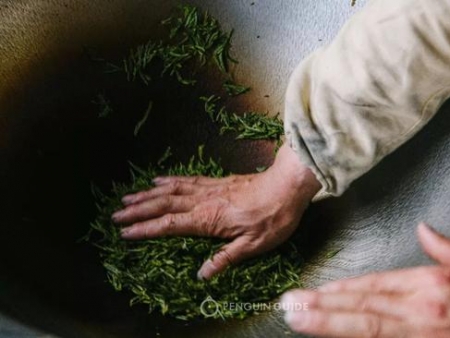 像泡咖啡馆那样泡茶馆