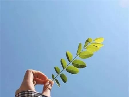 没有人爱你，那就自己爱自己吧！
