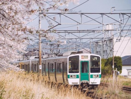 超高性价比的日本小众赏樱圣地 你必须知道