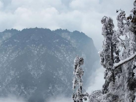 你见过雪后的峨眉山吗？简直像人间仙境