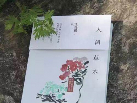 憨厚工作室---疫情期间的线上读书会